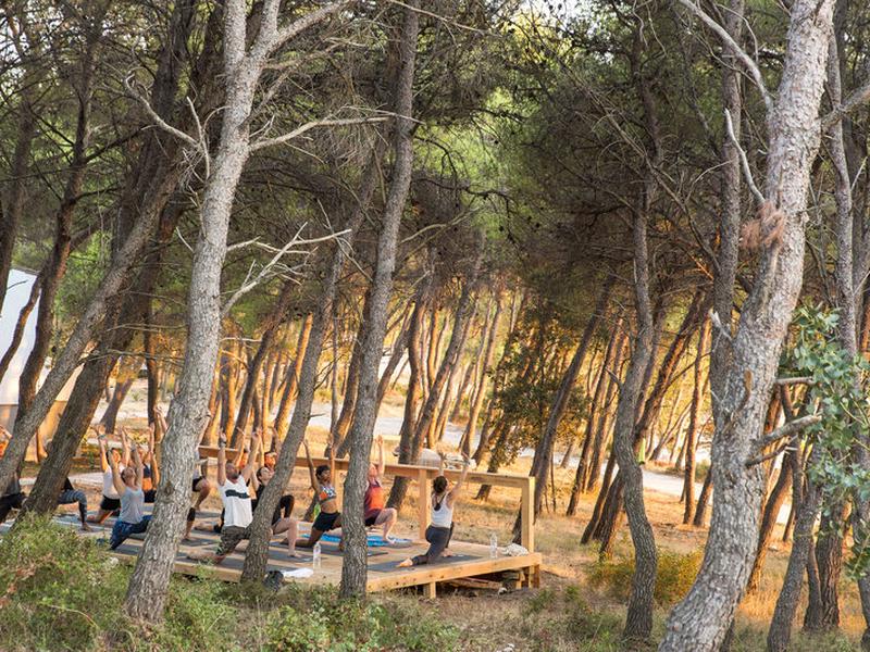 0C28A215E6D1B13E14CAF1210D8ED8E8