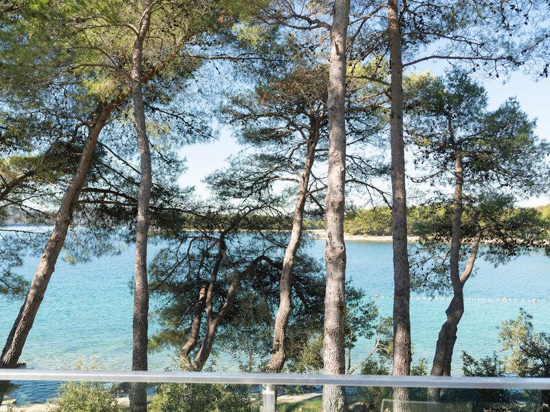 11225AC391F72DA5EF2B207FFC7324B8