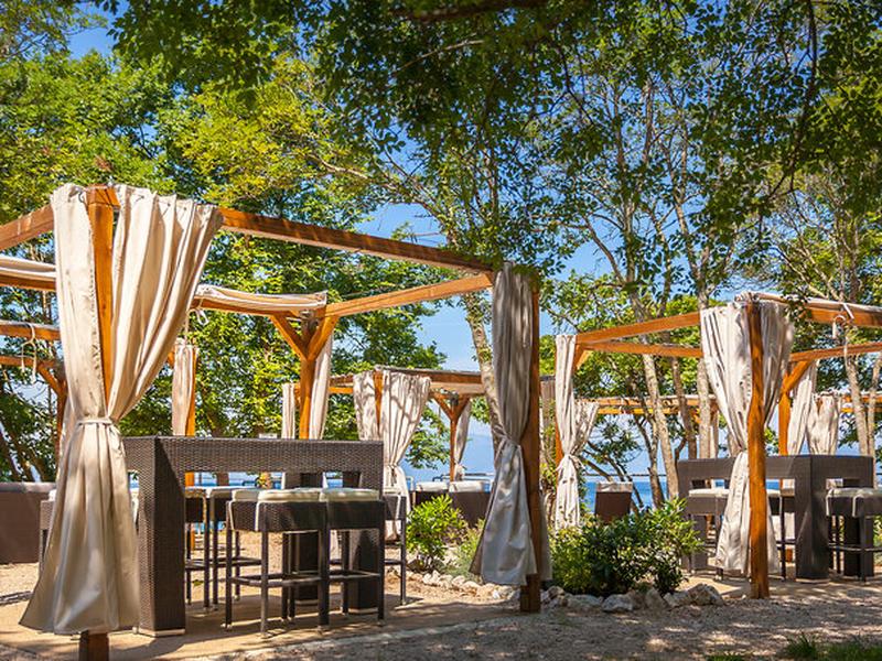 11608820197C30ACC196B95E9BDBF838