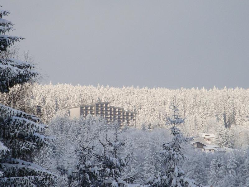 C26A60757BF784722837417C8BA264FB