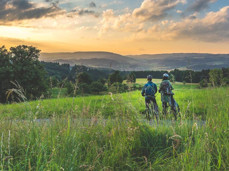 71E2688981302C753D82BFF3D4ACCD93