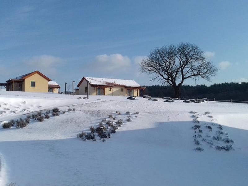 1C0DD3B648846C1A14159FF66B94B204