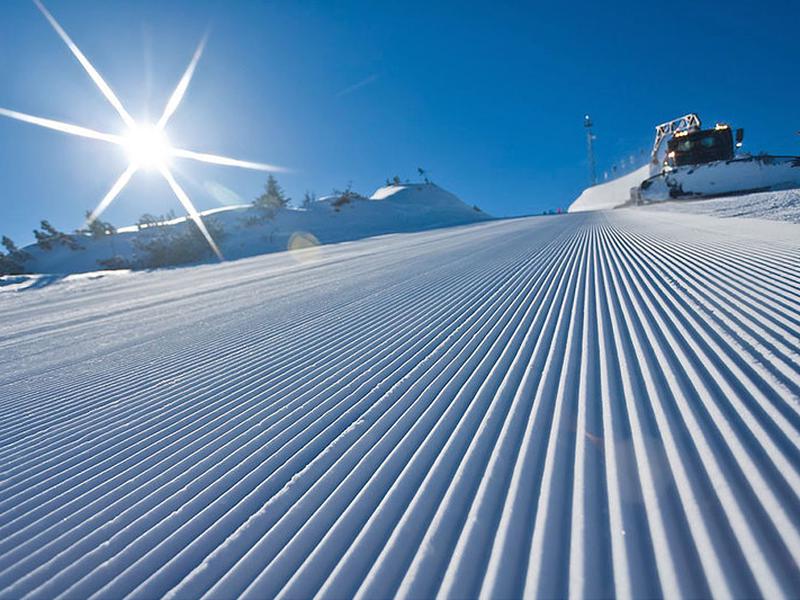 307DFA98DD9476E267CF0BA591B3E6AB