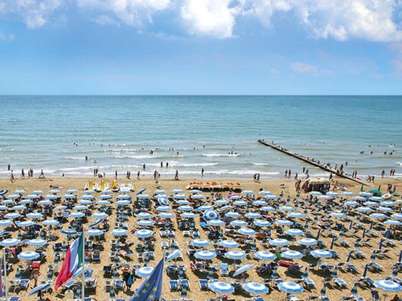 99CBE122E0E7A83AAB2685C769DA8270