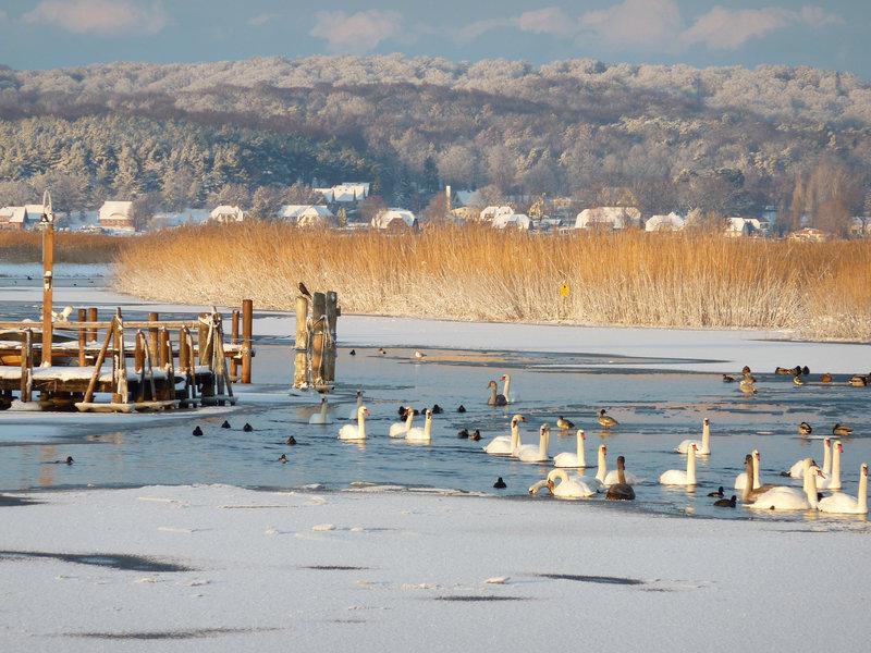 33D0F5B4D19CDAFD0A196B7E933FF743