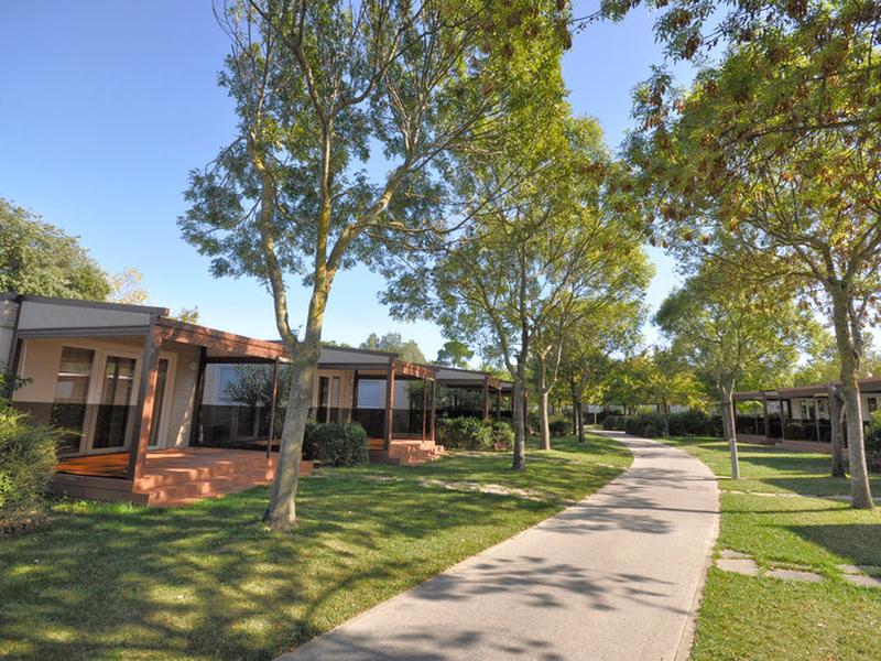 0201686D7BFAF4A8717AC0A9A9E31293