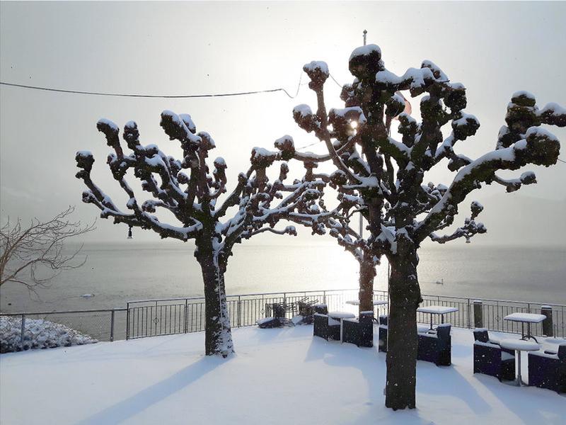 3B529A3776C995A5F7BAE68CBBFD0A9F