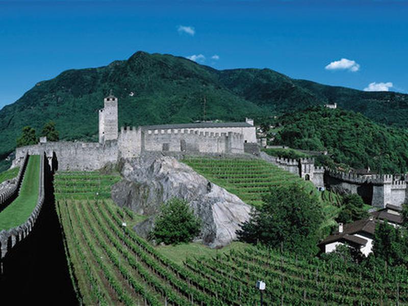 B52081ED46C920395D5F70B0C12B3E51