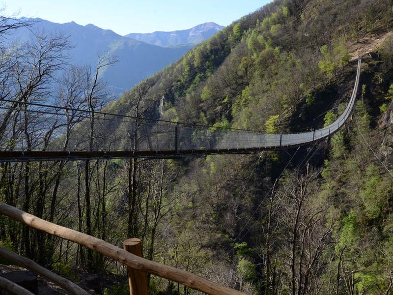 10FD0572A066B624DD7F9A6FCD31F9D9