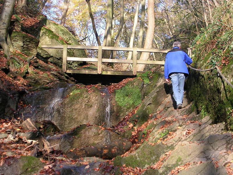 DE1EA17C2A7F8C3C78CA24B3110A80CE