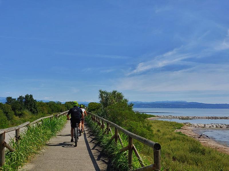 E589491E8C9478DF7AE0F246097341C4