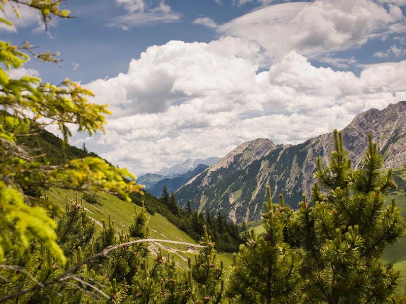 8F4A1865D1BD954D0CE390A44E443B1C