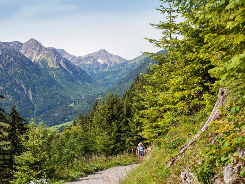 99BA4B28F39A0D7ABA2FEC33408B2EAC