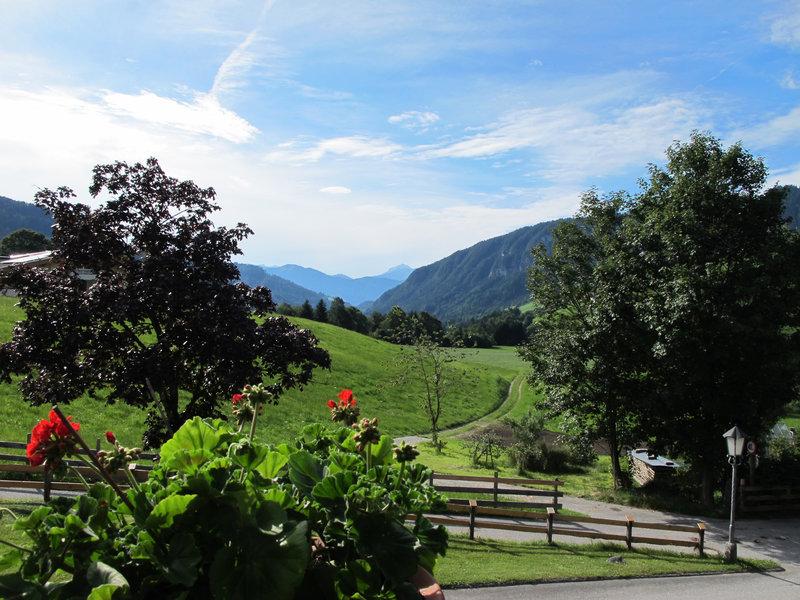 386D9C86F305F882E183DE0C0677EE5C