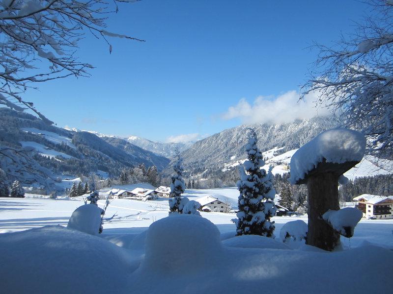 3F164108D8F1E12E934D4834B718D136