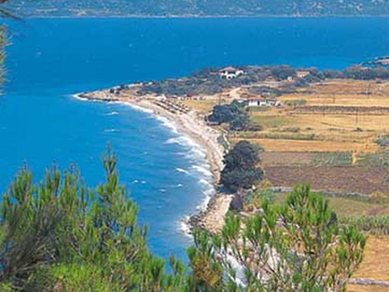 56365B5442B696C1F8CEF21A69108391