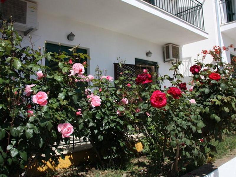 10B1F6829BCEFA4750C0BFA064AB74DC