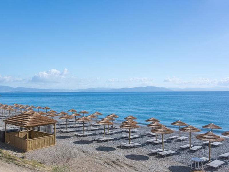 0B031EDC66947C1231C25A200CB10338