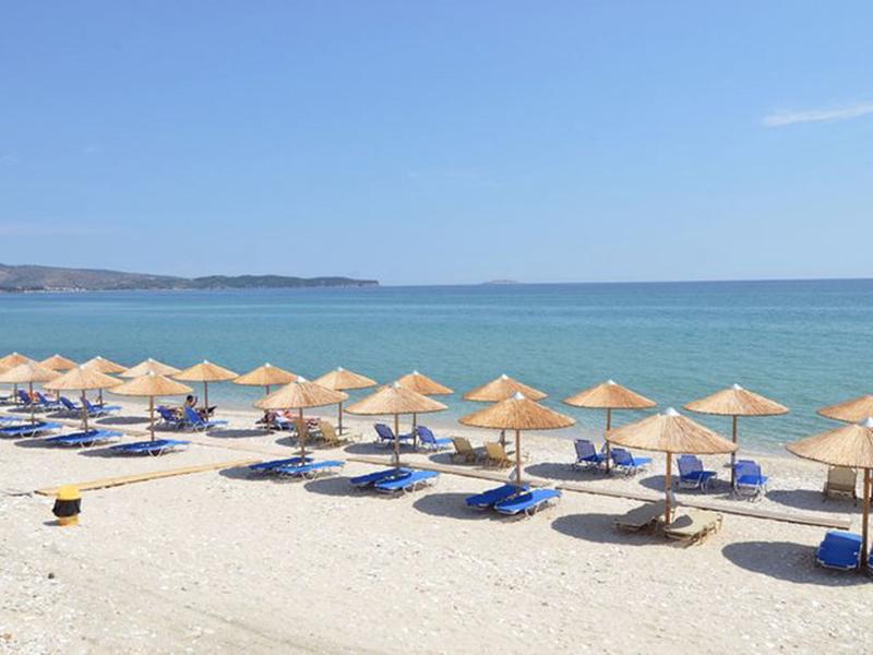 EA28FC1A17B86821C757AF2E8B51D331