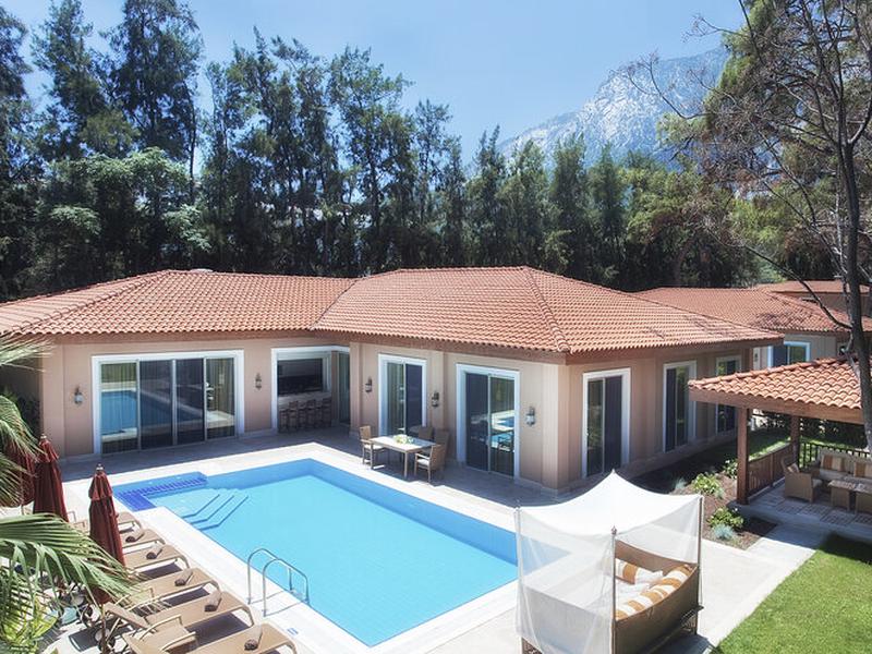 41E8FB3F8A5AF497CFAAE27D1ADD9C55