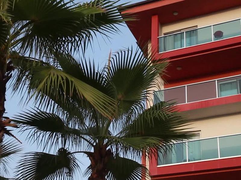 F105F4245BFA752B384BBD0DDEFEE81B