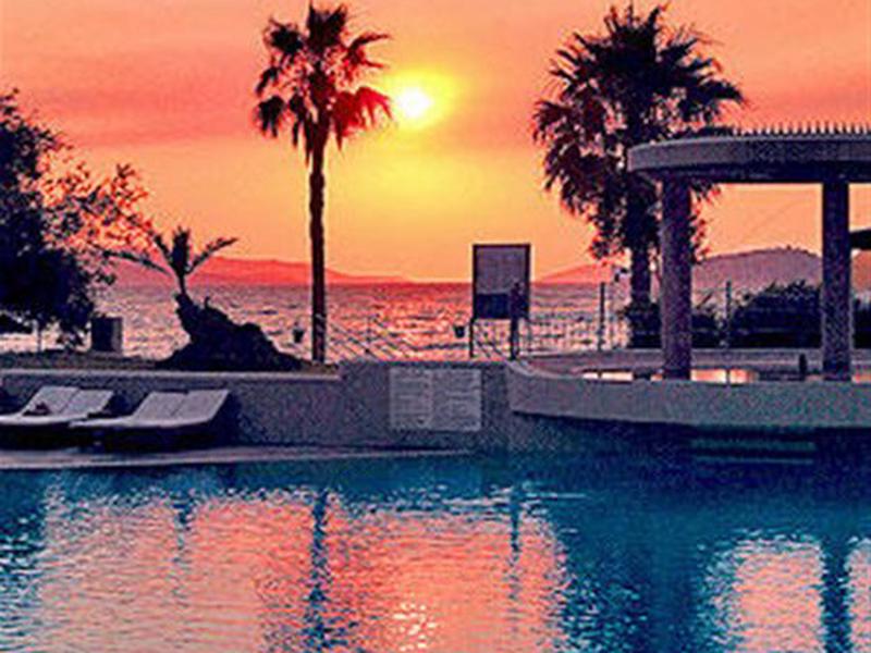 6F8CE13A5A2C48E88E998D44CA432B3F