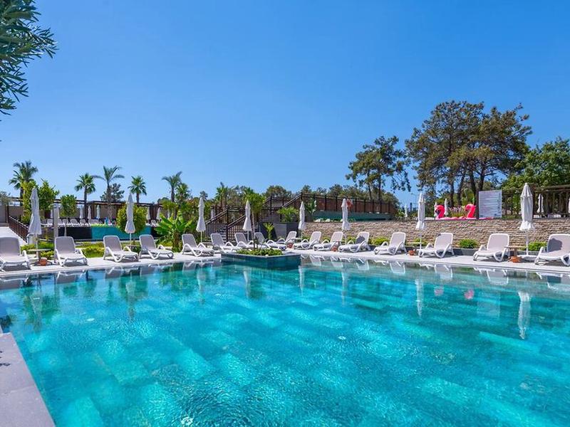 FD298C7CF92C606DFC256605C94AEC41