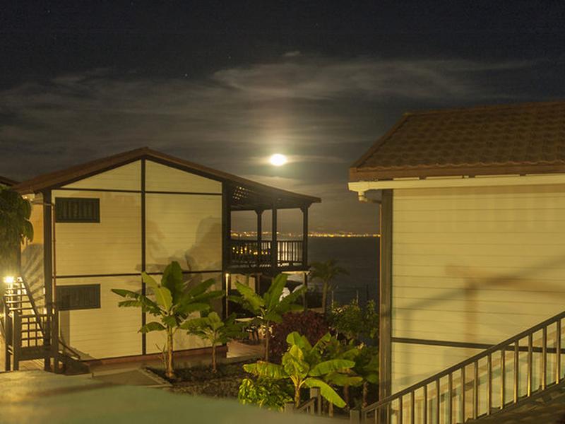 B828E2F44E33B0DE58E6EFCDBA1D0162