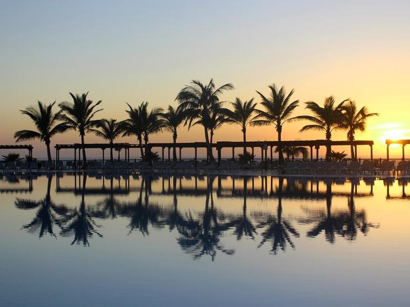 AF8DD44F43B9A6D2F856E249973D868F