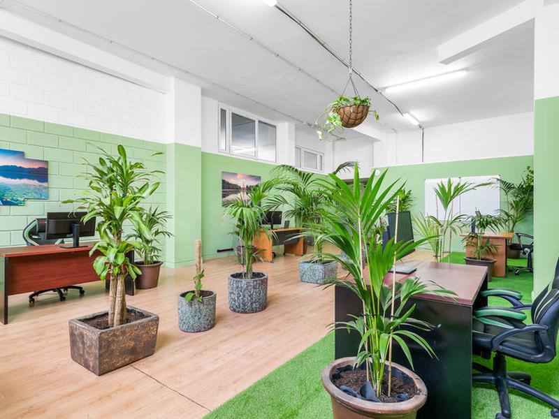 976AAD5A65A8C1393E6E88D8A01B2080