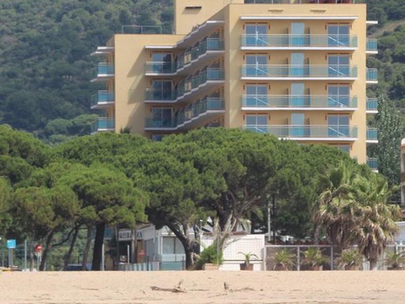 359F33A1ABF5D1FF8173B287A903DC68