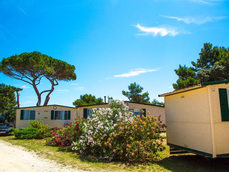 8D5152D94A7BECE47AFEA88647CC105D