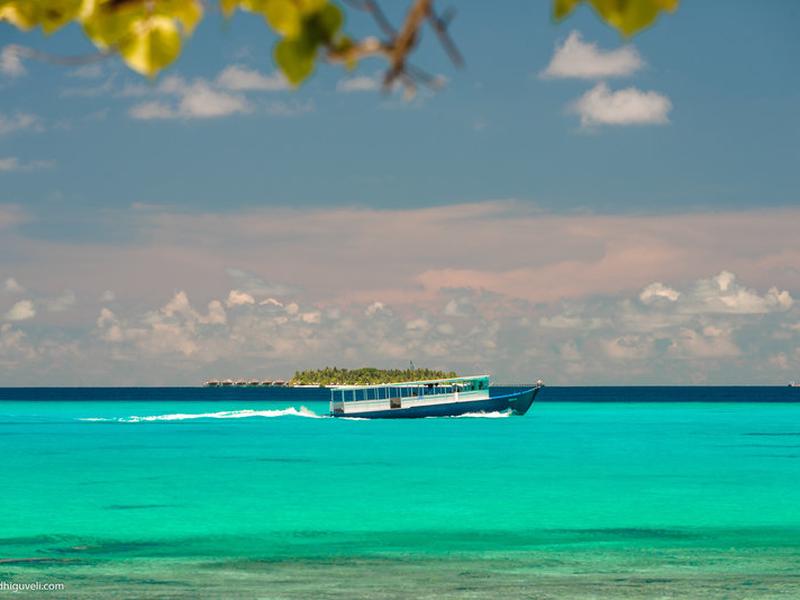 0C891F717023E18088EA37384F054168