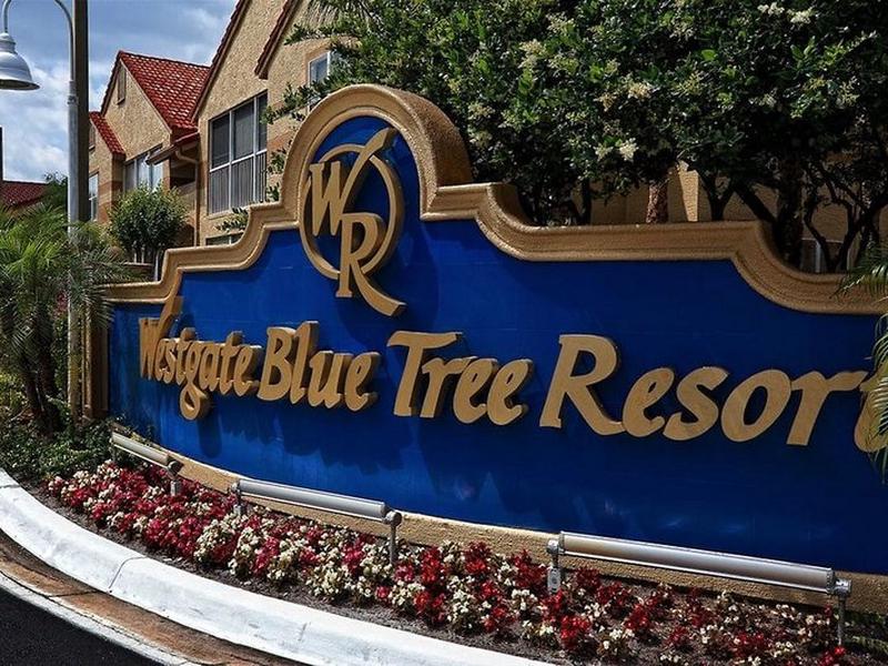 8C47E4A7D8686CB707D5C7D07F19182D