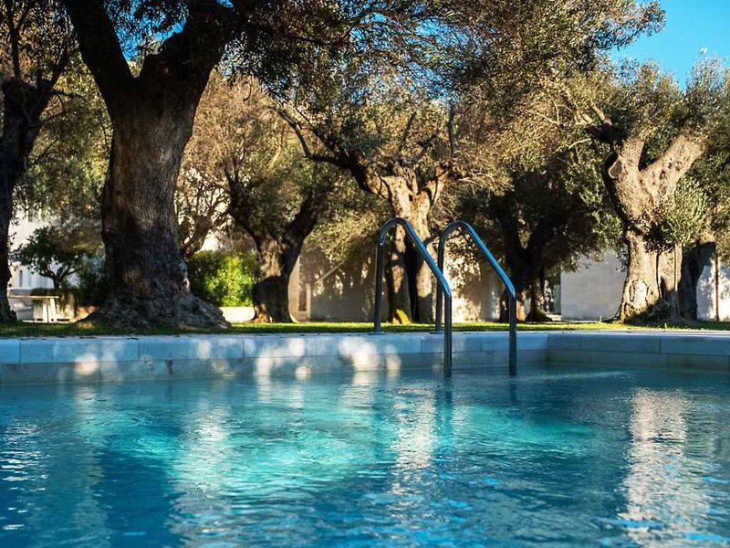 03A94F1234233BF32EC4AB92B7401CCE