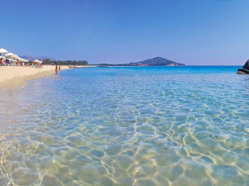 D719CC299C37AB372D0351923ED449EC