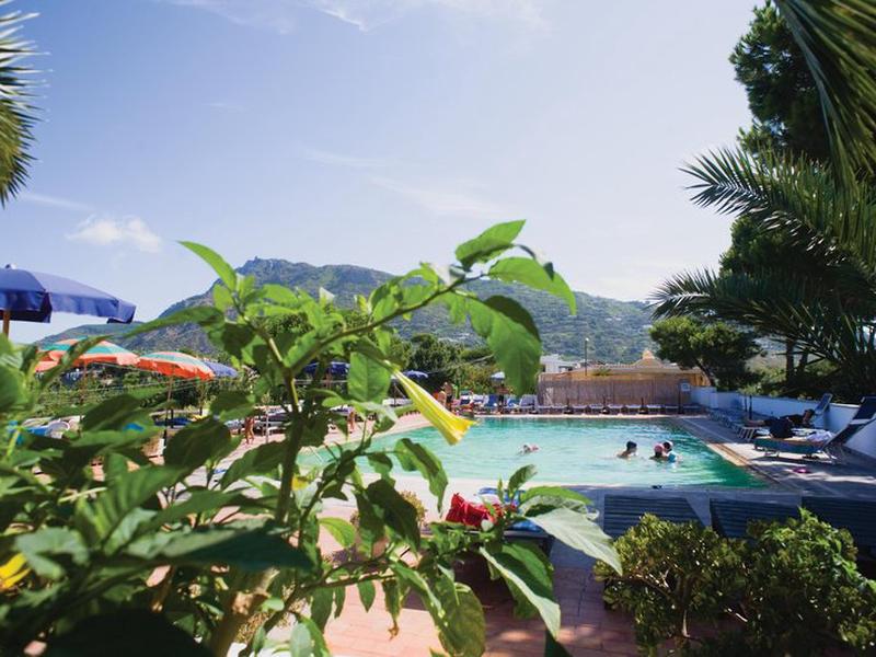 FE6771769B136A31C3F24F63D626839E