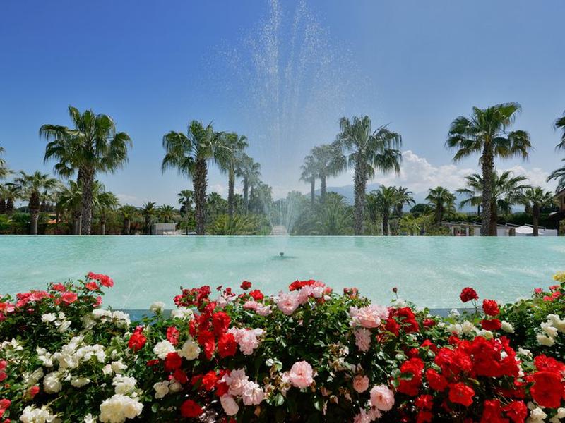 49D2418237B2A741D60EB9E121196C21