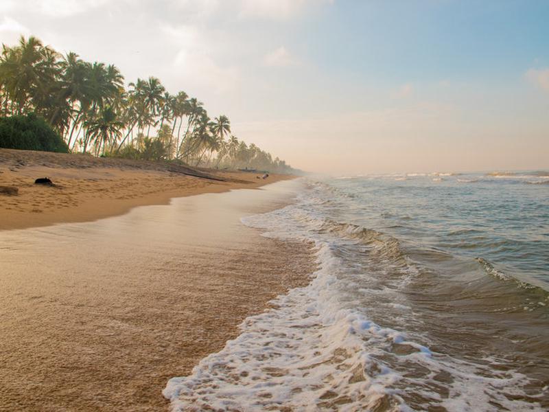 7B6F71B67BCD52A0D6993CA640E25E33