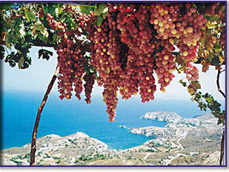 9C952B0D099B7B81B77DE52E0EA8AE6C