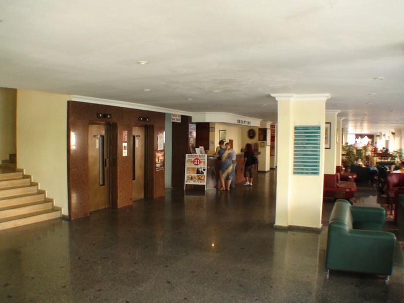 B3951CF5E1E6A108258E65C68F827597