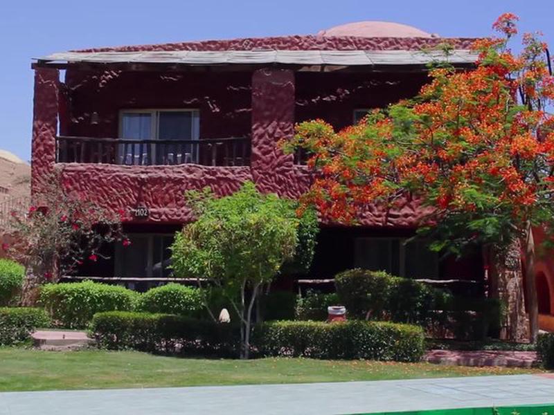 BE5A14A765E439FC383C378E7DF567A1