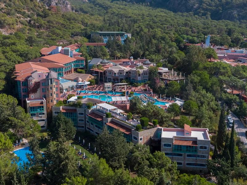 B58D33F6F2BF6C9489C4AA4E96978092