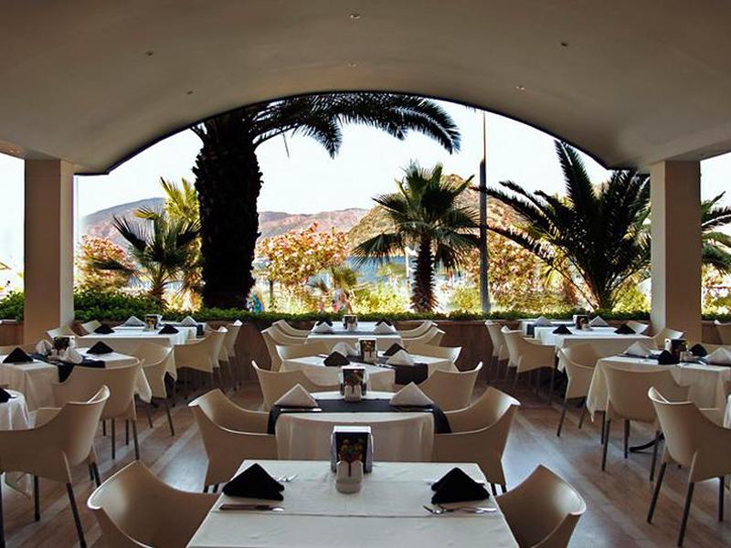 CA7B917963972E2121E44583F0F4BFC3