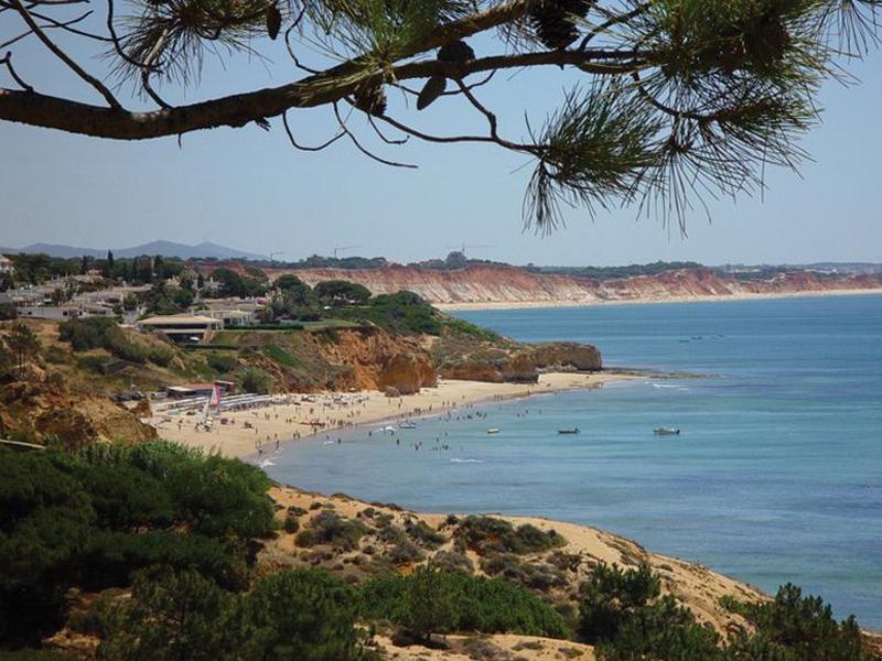 CD477215E13B5491EEDAF2D6A3838B6C