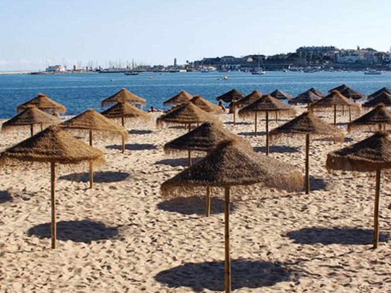 E4331952853AA6F15A88CB4B4F0924E1