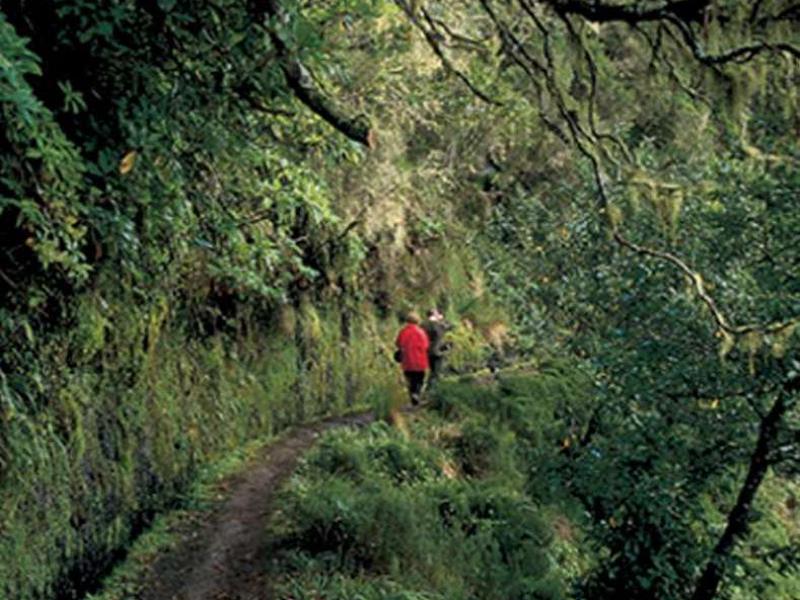 34582916D8691C75F0DD72B656CE710C