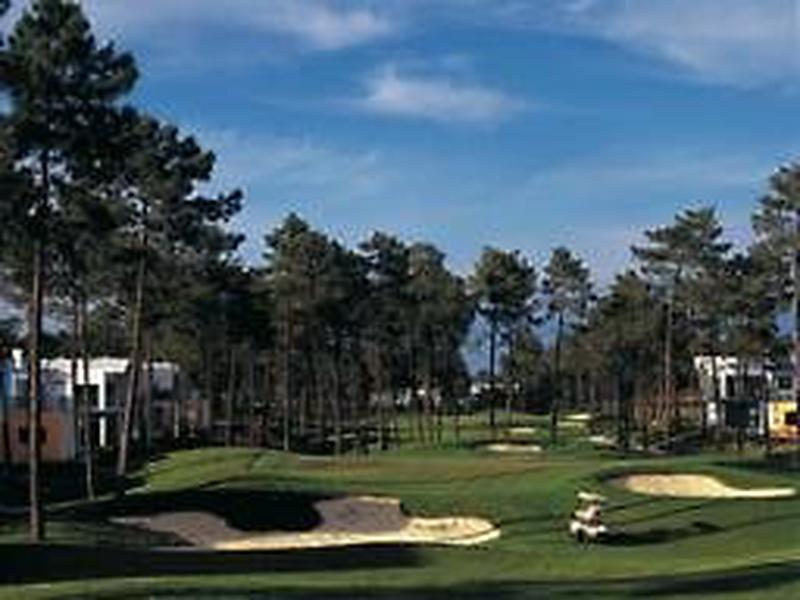 0DF0082371751950B916DB8AB948BAB5