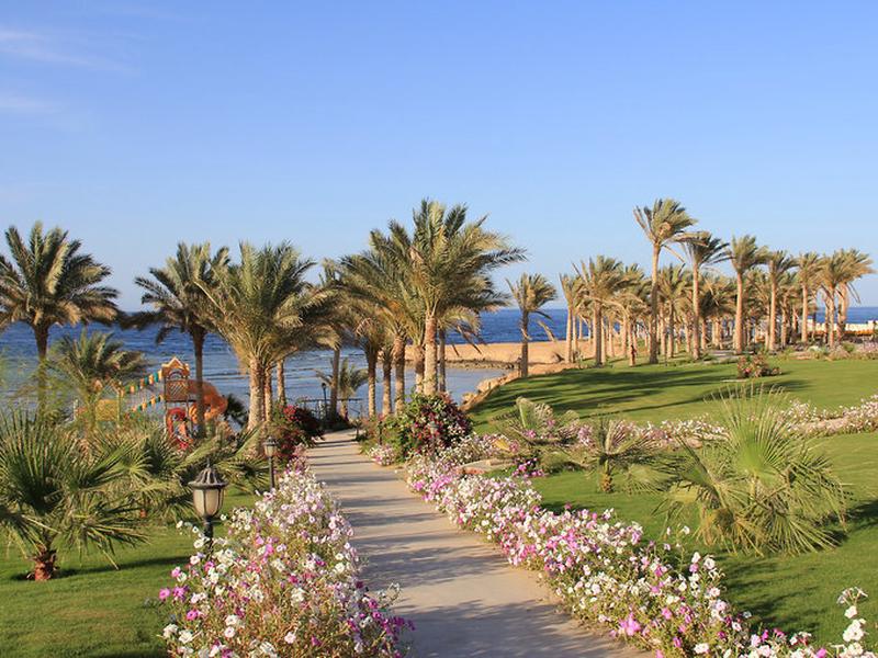 D841525E70F8982113C8368980D897CE