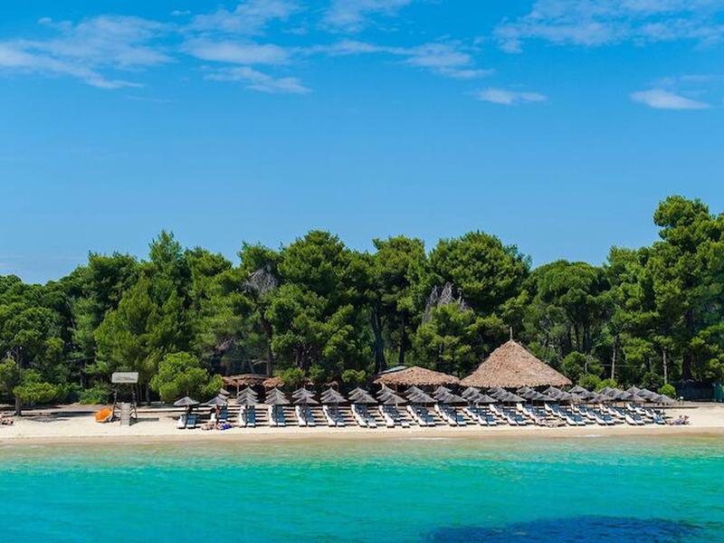 472D1388E7823E995D8F08660C04E570